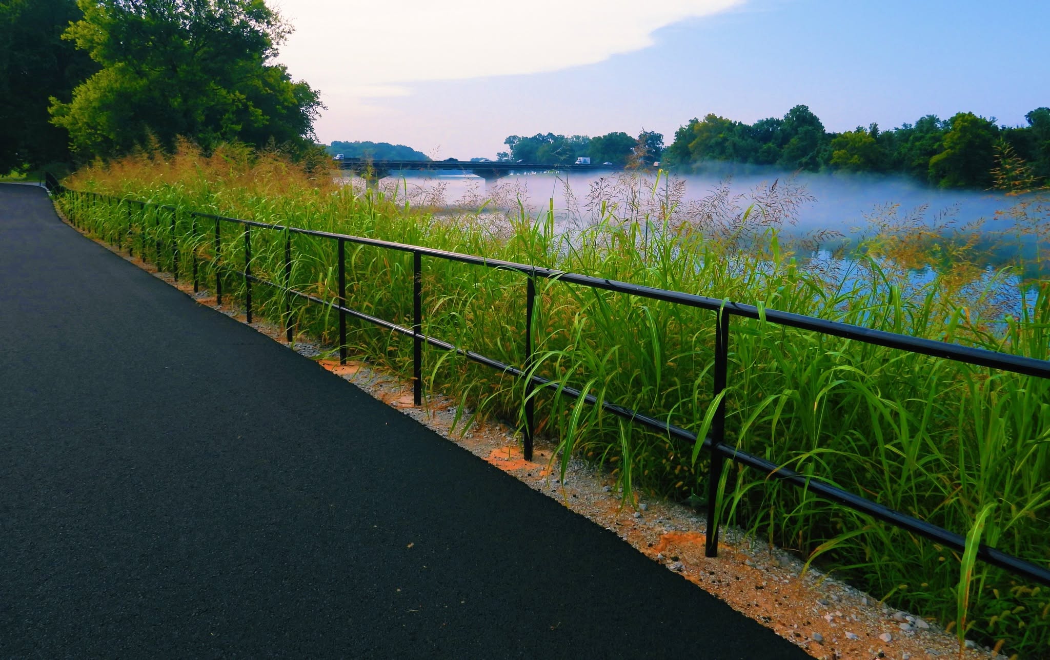 Greenway Trail- River Handrail
